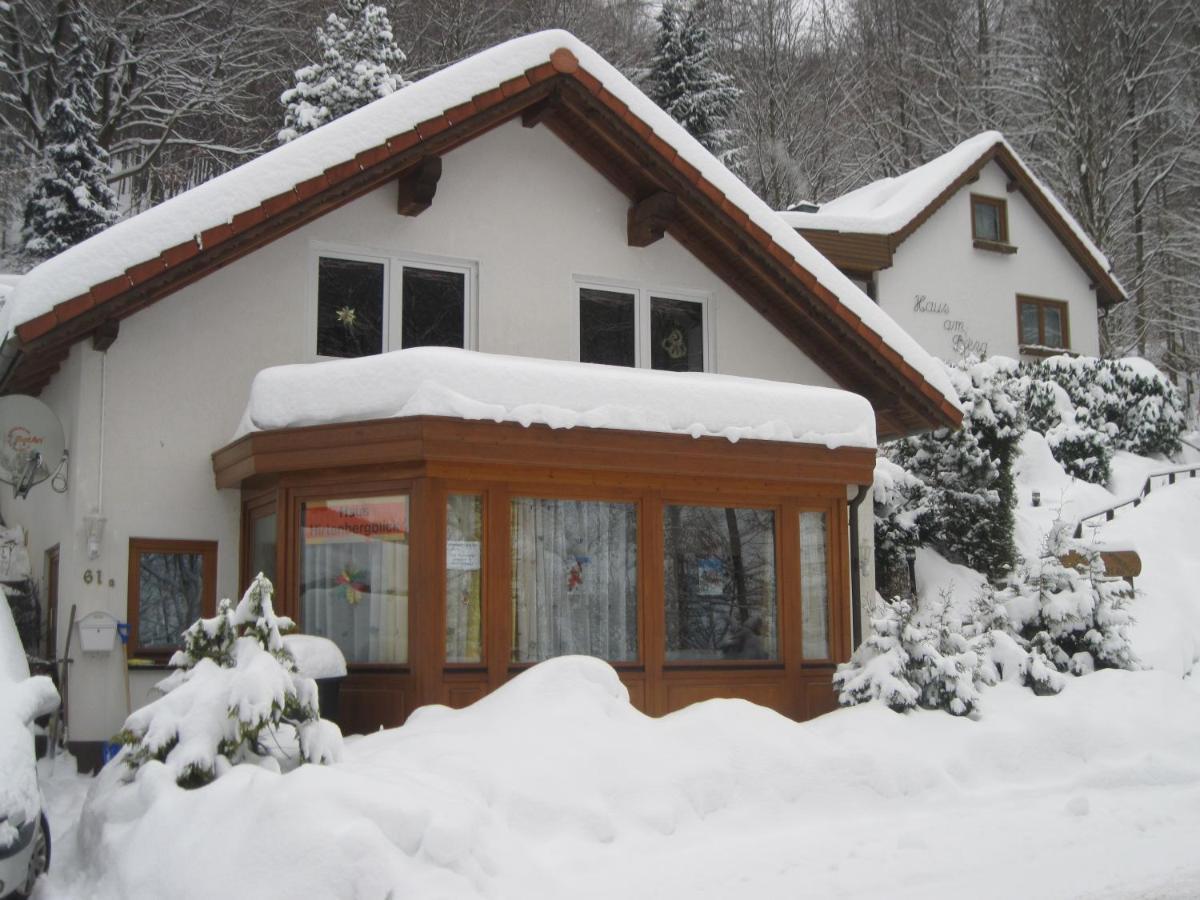 Haus Hirtenbergblick Lonau Экстерьер фото