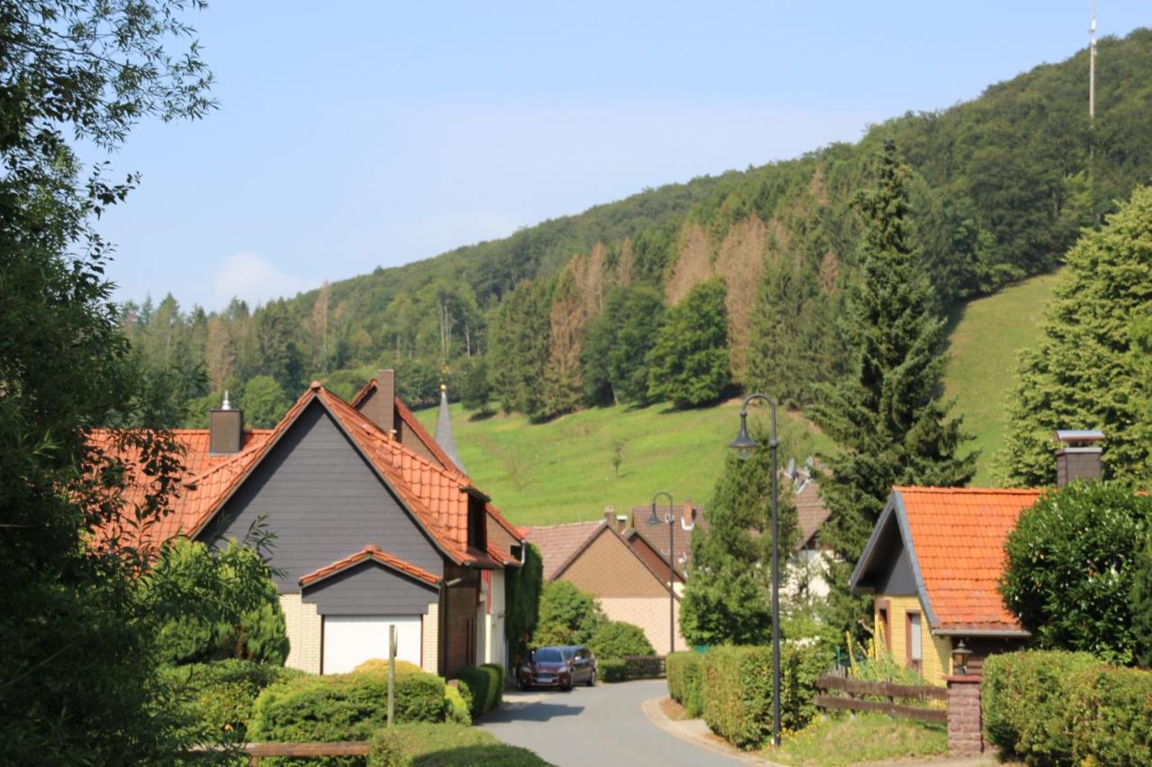 Haus Hirtenbergblick Lonau Экстерьер фото
