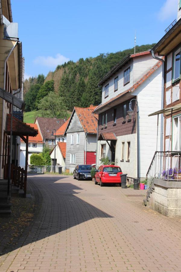 Haus Hirtenbergblick Lonau Экстерьер фото