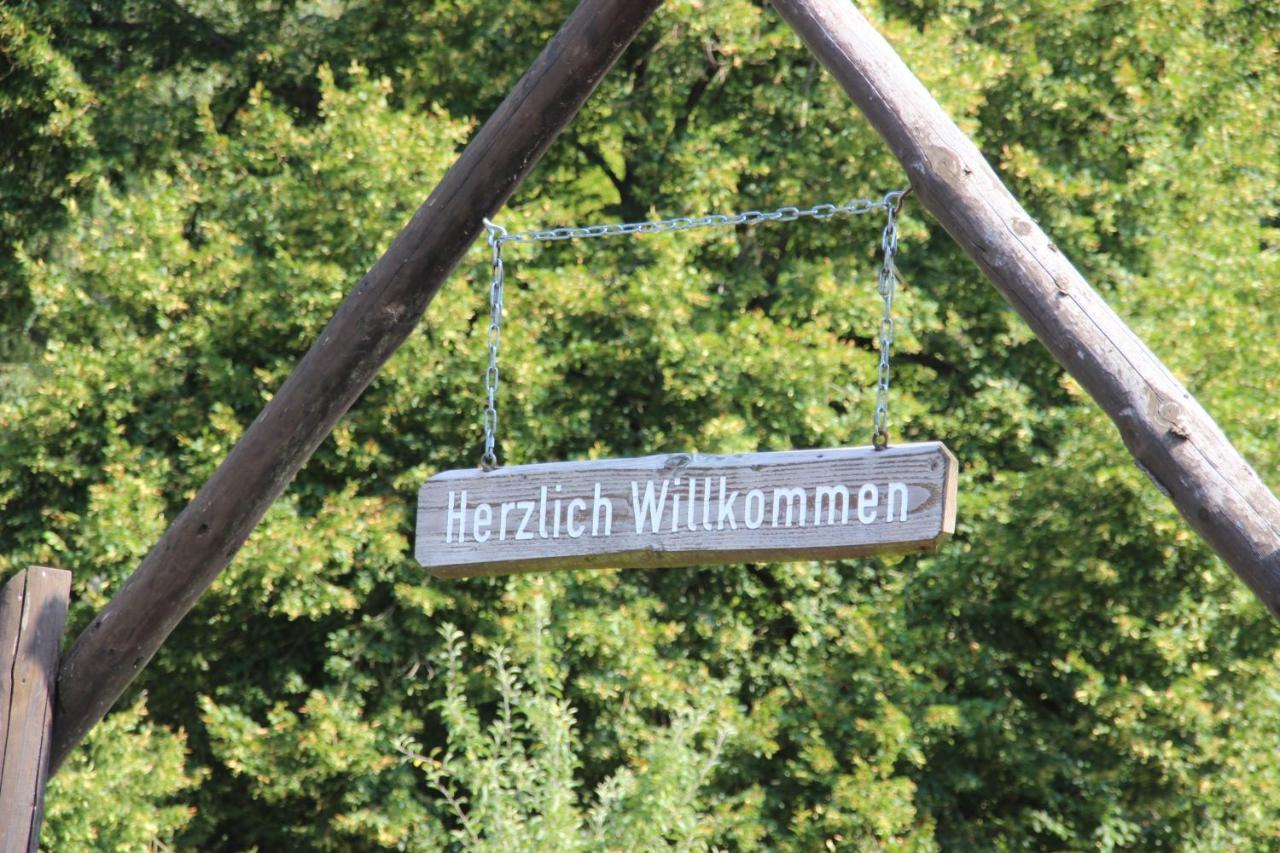 Haus Hirtenbergblick Lonau Экстерьер фото