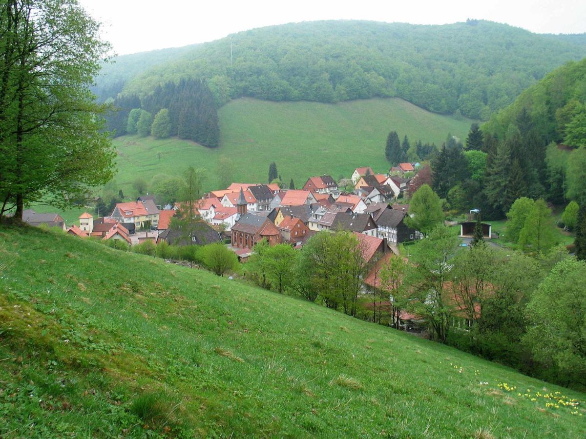 Haus Hirtenbergblick Lonau Экстерьер фото